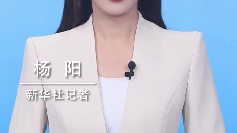 企业级智能客服系统的技术选型考量